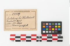Etikett zu Bronzebreitrandfußschale (NHMW-PRAE-025559)